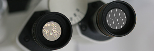 Microscope 2